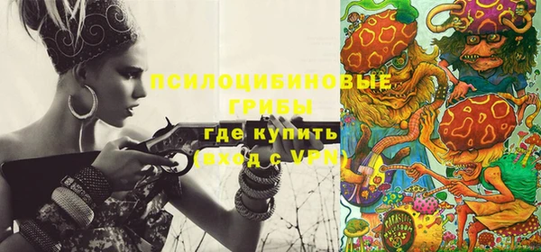 бошки Алексин