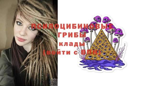 гашик Алзамай