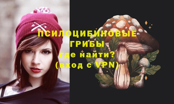 бошки Алексин