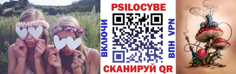 Галлюциногенные грибы Psilocybine cubensis  купить  цена  Лаишево 